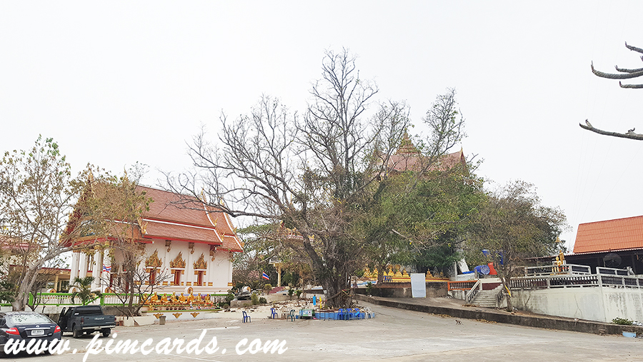 ภาพบรยากาศภายในวัดเขาสมอคอน